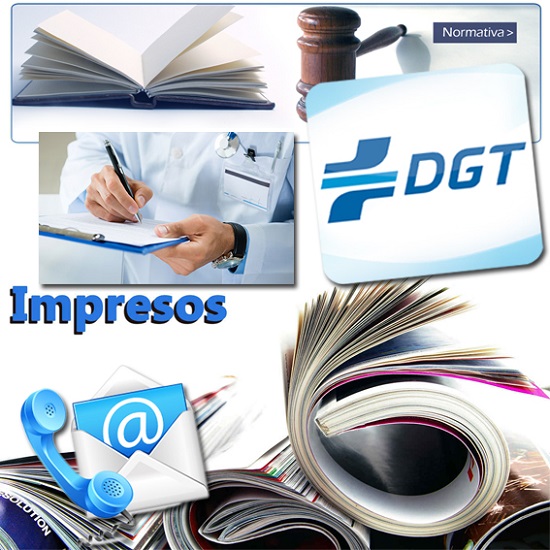 Coche DGT